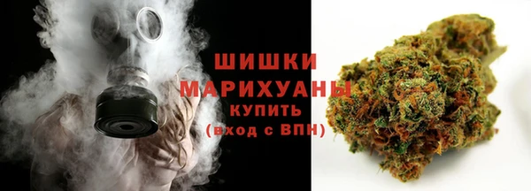 крисы Куйбышев